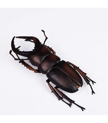 昆虫　フィギア　クワガタ　原寸大モデル カブトムシとクワガタの本物そっくりな原寸大フィギュア！食玩