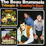 �g���C�A���O��/�u���h���[�Y�E�o�[��