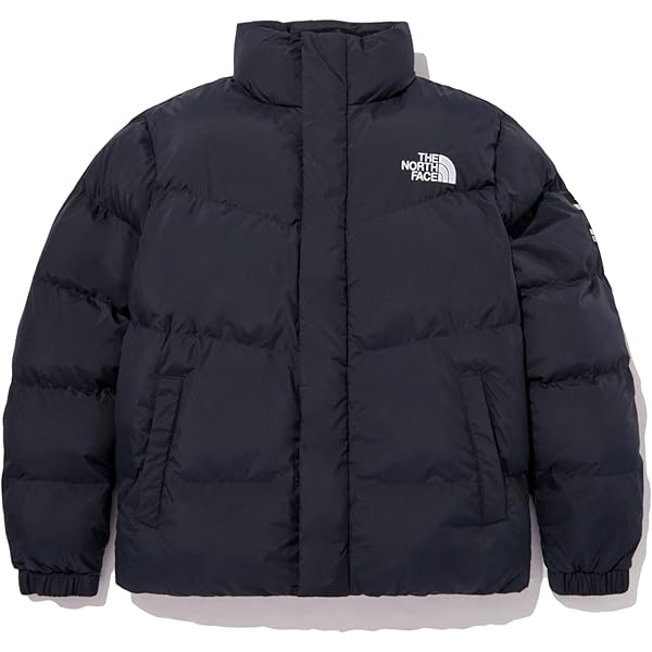 The North Face eco nuptse ヌプシ ダウン L ザノースフェイス 1996 ECO NUPTSE DOWN JACKET 男女OK (THE