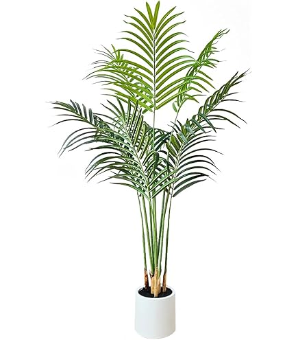 Amazon｜光触媒 光の楽園 Green Series フロアタイプ【インテリア 人工