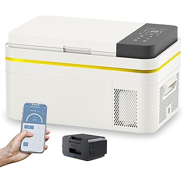 Amazon.co.jp: ポータブル冷蔵庫 20L 車載冷蔵庫 バッテリー付き −20