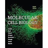 Molecular Cell Biology 8e