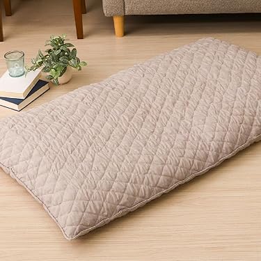 Amazon.co.jp 最新リリース: クッション・座布団 の新着ランキングです。