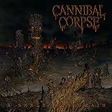 �A�E�X�P���^���E�h���C��