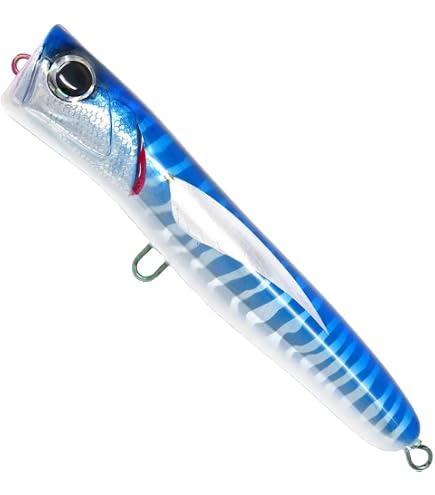 Amazon | ホッツ ケイコオーシャン チャガユ 225mm HOT'S KEIKO 14