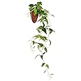 インテリアグリーン 造花 観葉植物 光触媒 フェイクグリーン つる ツタ クレマチス 壁掛け 60cm (かわいい 籐ポット入り) 163701