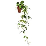 インテリアグリーン 造花 観葉植物 光触媒 フェイクグリーン つる ツタ クレマチス 壁掛け 60cm (かわいい 籐ポット入り) 163701