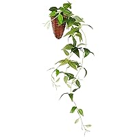 インテリアグリーン 造花 観葉植物 光触媒 フェイクグリーン つる ツタ クレマチス 壁掛け 60cm (かわいい 籐ポット入り) 163701