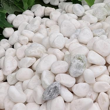 Amazon.co.jp ほしい物ランキング: ガーデニング用砂利 で、ほしい物