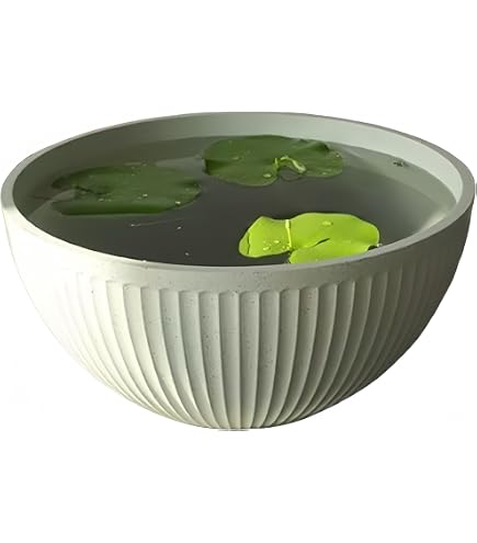 Amazon.co.jp: 壺 壷 ツボ 水瓶 陶器 大きめ 水鉢 メダカ 金魚鉢 睡蓮