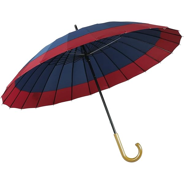 ジブリ美術館 限定 フレスコ 傘 未開封 正規品　となりのトトロ Amazon | ジブリ美術館限定 フレスコ画 傘[となりのトトロ] | 長