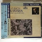 �J���^�[�^�W(��)