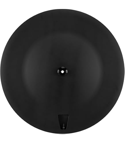 SuperTeam 700c フルカーボン ディスク ホイール リア マット仕上 SuperTeam 700c フルカーボン ディスク ホイール リア マット