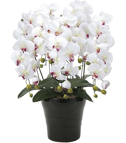 Amazon｜光触媒 人工観葉植物 光の楽園 フレッシュポールポトス 382A50