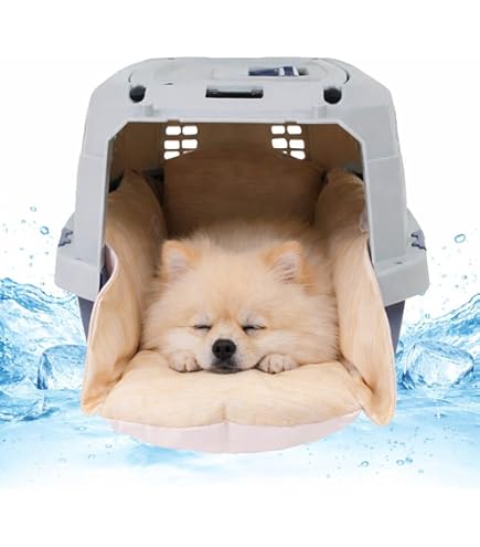 Amazon | 【ハナロロ】ペットベッド 専用ビーズクッション S
