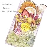 ハーバリウム　花材セット (フルーツイエロー)