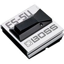 Amazon.co.jp: 【純正ACアダプター/PSA-100S2付】BOSS ボス Dr