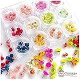 Craft Tamago 【1セット】スターフラワー 12色セット Craft Tamagoセレクト