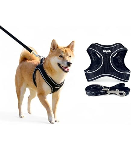 Amazon | DAZI 犬用ハーネス、調整可能なベルクロデニム犬用ハーネス