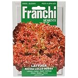 野菜の種 レタス RICCIA LOLLO ROSSA 78/17