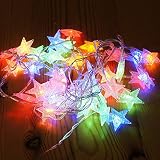fino creare イルミネーションライト ガーデンライト 50LED led 結婚式 クリスマス 屋外 全長5m 単三電池 式 (彩色星)