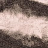 リリカラ 壁紙2m モダン 幾何学 ブラック/ホワイト 寝室・プライベートルーム LV-6366