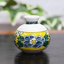 61Q5tH4aBlL._AC_UL210_SR210,