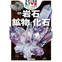 鉱物・岩石・化石 | 川上紳一, 松原聰, 高橋正樹, 三河内岳