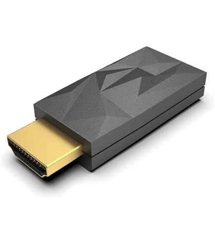 Amazon.co.jp: iFi iSilencer Max - USB-C ノイズフィルター