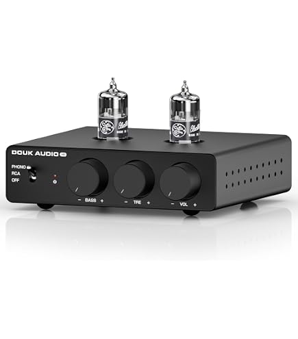 Amazon.co.jp: AIYIMA TUBE-T3 6J2 チューブ HiFi MM フォノプリアンプ