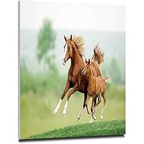 Amazon.co.jp: 馬の装飾 アート絵画 風景画 30x40cm 木製パネル付 絵
