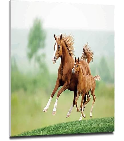 Amazon.co.jp: つの絵画 馬に乗ったバルタサール カルロス王子の肖像画