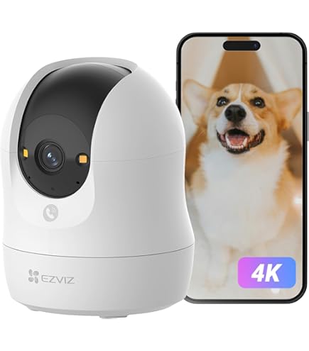 Amazon.co.jp: パナソニック(Panasonic)ネットワークカメラ MPEG4&JPEG