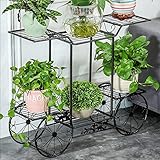 フラワースタンド/植物フローラルメタルスタンド屋内/屋外ガーデンストレージディスプレイスタンド（ホワイト） (色 : 2)