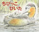 ちびっこぴいた