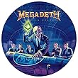 RUST IN PEACE [LP] (PICTURE DISC)[12 inch Analog]
