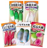 日本農産種苗 大根の変わり種セット