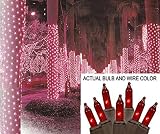 2' x 8' Red Mini Christmas Net Style Tree Trunk Wrap Lights - Brown Wire by Sienna