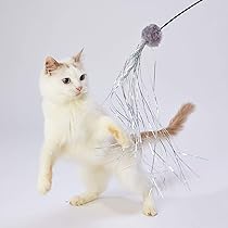 61QE02CfdaL._AC_UL210_SR210,