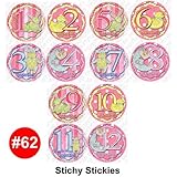 Monthly Onesie Sticker Set of 12 - STICHY STICKY - Baby Month Onesie Stickers Baby Shower Gift Photo