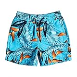 【QUIKSILVER クイックシルバー】 キッズ ジャムショーツ（12インチ）PARADISE POINT VL BOY 12 【EQKJV03022 BJB6 100】