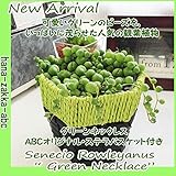 ・グリーンネックレス（ストリング・オブ・ビーズ）【オリジナル・バスケット付】