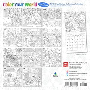 Color Your World, Meditative Coloring for Cat Lovers 2018 Calendar