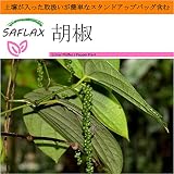 SAFLAX - Garden in the Bag - 胡椒 - 20 個の種。- 取扱いが簡単なスタンドアップバッグに栽培用土壌が入っています - Piper nigrum