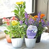 相武ガーデン 【マケプレお急ぎ便対応】 花苗 店長おまかせ 季節のポット苗 5ポットセット