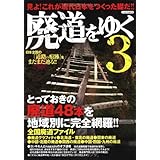 廃道をゆく3 (イカロス・ムック)