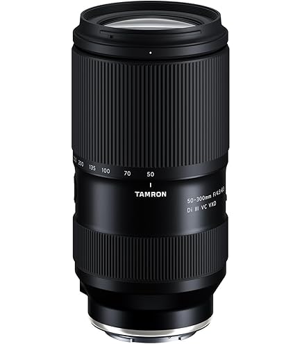 レンズ(ズーム) TAMRON 18-300mm F/3.5-6.3 タムロン 18-200mm F3.5-6.3 ソニーEマウント