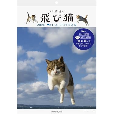 Amazon.co.jp 売れ筋ランキング: undefined の中で最も人気のある商品です