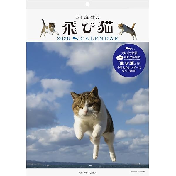 飛び猫 | 五十嵐 健太 |本 | 通販 | Amazon