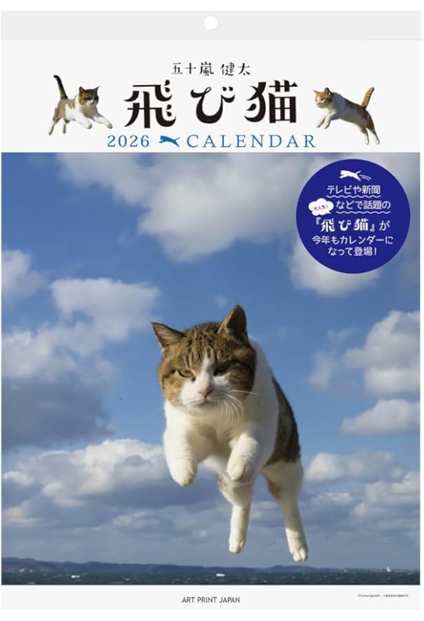 飛び猫 | 五十嵐 健太 |本 | 通販 | Amazon
